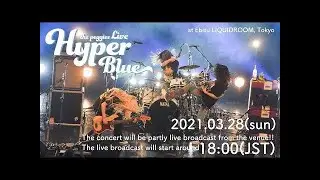 Kimi No Sei | the peggies LIVE 