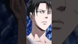 фразы леви