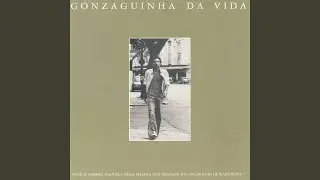Desenredo (G.R.E.S. Unidos Do Pau Brasil)