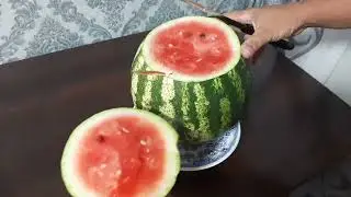 Кавун Талісман 16.08.2023 г.