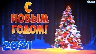 С НОВЫМ ГОДОМ ! 2021