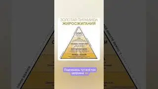 КАК ЗАПУСТИТЬ БЫСТРЕЕ  ЖИРОСЖИГАНИЕ #весы#сон#режим#еда#спорт