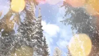 Погода на 24 декабря.