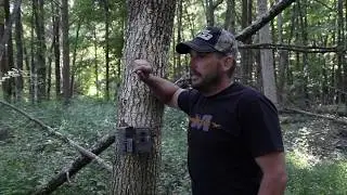 Bowhunting Whitetail Deer | Pre-Season