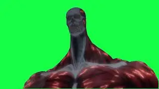 Attack on Titan green screen ||green screen