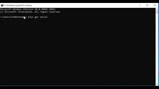 How to Get Bios Serial Number