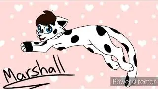 Marshall ( tribute ) *LEER DESCR*