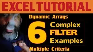 Excel Dynamic Arrays: 6 Examples of FILTER with Multiple Criteria
