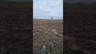 Половина виноградника готова!🤣