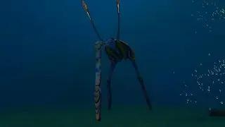 Sea Treader Migration Observation