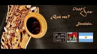🇦🇷  ¿QUE VES? - Divididos - Flauta