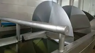 Inside a Chicken Processing Line | Industrial Food Processing Plant