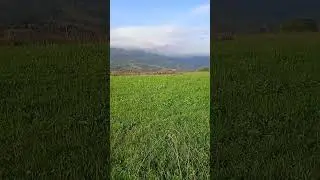 костер колодец 