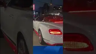 Lion spotted riding in Bentley- Lion aperçu en train de rouler à Bentley- 