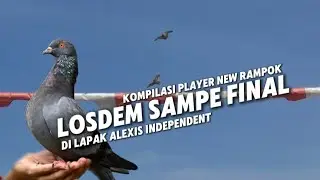 KOMPILASI PLAYER NEW RAMPOK SAMPE FINAL DI LAPAK ALEXIS INDEPENDENT