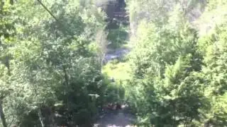 Alli zip line