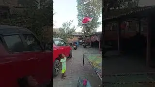 patang uda re short video 🪁🪁🪁🪁🪁🪁🪁🪁