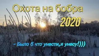 Охота на бобра 2020