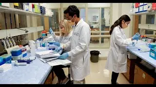 Quillen Center of Excellence in Inflammation, Infectious Disease, and Immunity Introduction