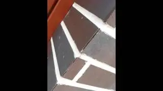 Швы(1)