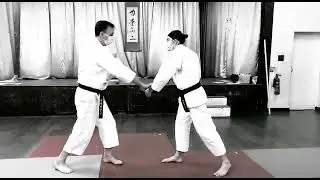 Learn Shorinji Kempo at South Wimbledon Dojo!