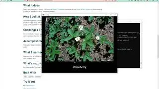 scavenge! demo + voiceover