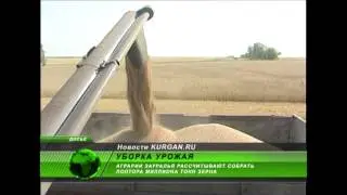 Полтора миллиона тонн зерна