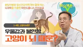 1-4편. 우울&불안 장애 인지치료가 꼭 필요한 이유! 고양이 뇌에 대해 알아보자