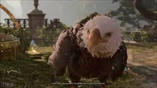 Baldur's Gate 3: Solo Rogue Confronts the Great Eagle