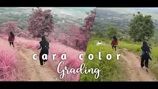 Cara color grading atau mewarnai video | Edit video kekinian