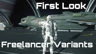 Star Citizen 3.4 ptu - First look - Freelancer variants!