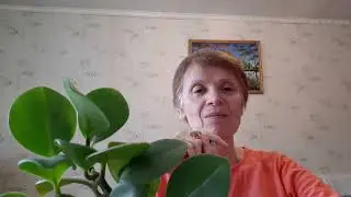 Как улучшить свою память?  Всё возможно.