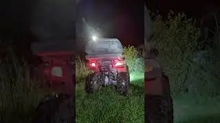 2023 130фотографий, на самом деле это малая их часть) 