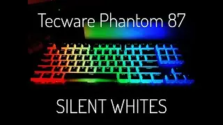 Vict Buys Silent Switches - Outemu SILENT WHITE Switches Sound Test