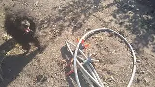 За забором.1серия. Дырка в заборе