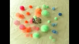 Birth of a My Little Pony Stop Motion Animation