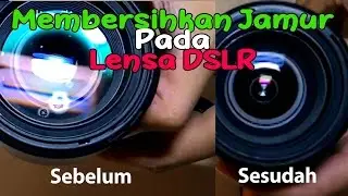 Cara Membersihkan Jamur Pada Lensa DSLR