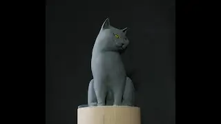 The Cat of Noémi