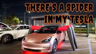 Frunk or Treat at Rove Charging