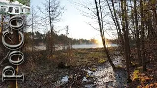 Northwoods Cottage Adventure: Ep 2 Which place did we choose? Touring the cottage