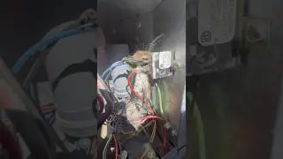Mouse vs 220v AC
