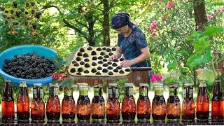 Harvesting Wild Blackberries in the Mountains and Making Blackberry Pie and Juice in the Village