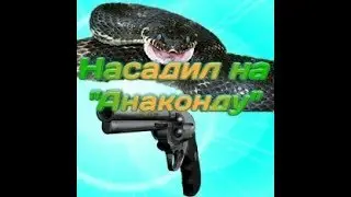 Насадил на анаконду / Мобильная КС