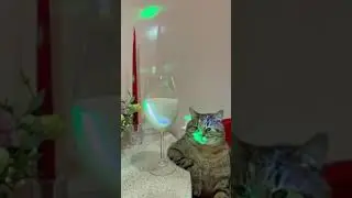 Итоги года 100500 выводов)))