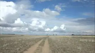 Дорога муз В Новопашин, сл   Я Полонский
