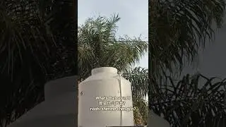 WHAT is THAT sound?