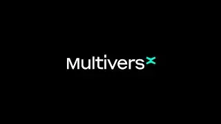 How to interact with MultiversX ElasticSearch Cluster
