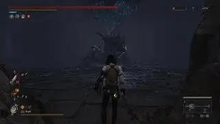 Lies of P  - Solo Anguished guardian