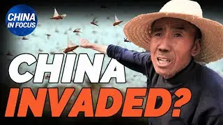 China's mass DNA sampling raises concern; Vaccine scandals; Suspicious report claims bumper harvest