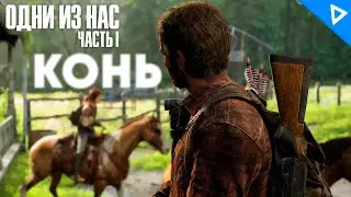 ЭЛЛИ УГНАЛА КОНЯ ► The Last of Us Part 1 Прохождение #11